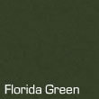 Tennis Court Surface - Florida Green